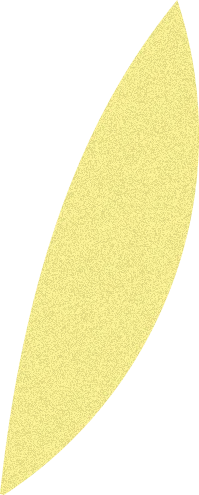 リーフ