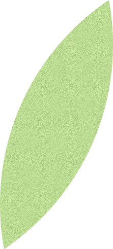 リーフ
