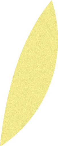 リーフ