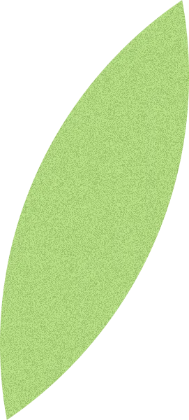 リーフ