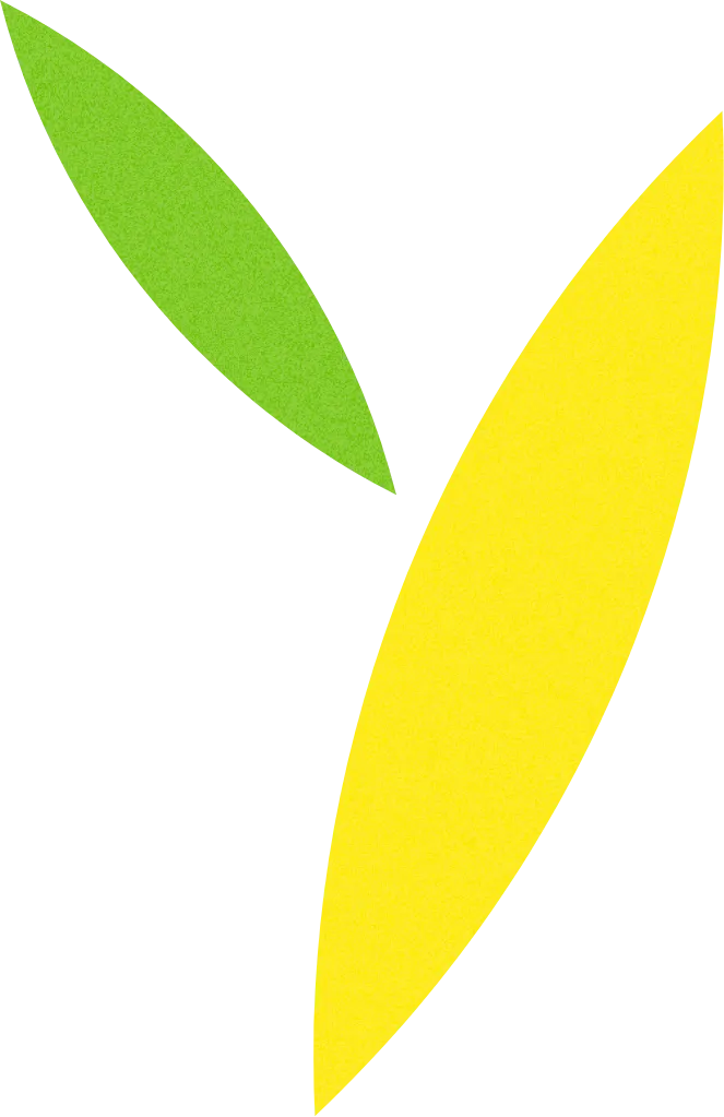 leaf