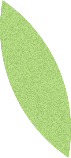 リーフ