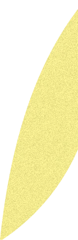 リーフ