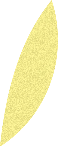 リーフ